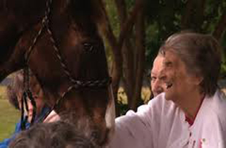 Healing with horses and the elderly