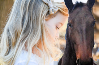 equine assisted therapy terminal illness