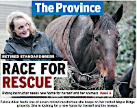 The province  newspaper